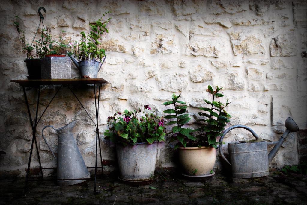 Mont-Saint-Éloi Chez Fifineヴィラ 部屋 写真